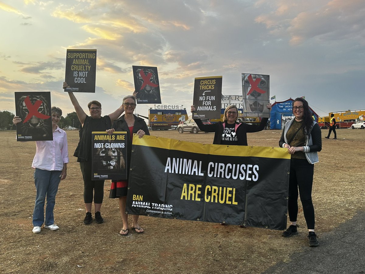 🚨🎪PEACEFUL PROTEST ALERT! 🎪🚨 

Stand up for animals exploited in circuses to entertain humans! 

📅 WHEN: Thursday, 5 December 2025

⏰ TIME: 18:00 - 19:00

📍 WHERE: Corner of De Wiekus Road &amp; Christoffel Street, #KemptonPark

Together, we can make a difference!