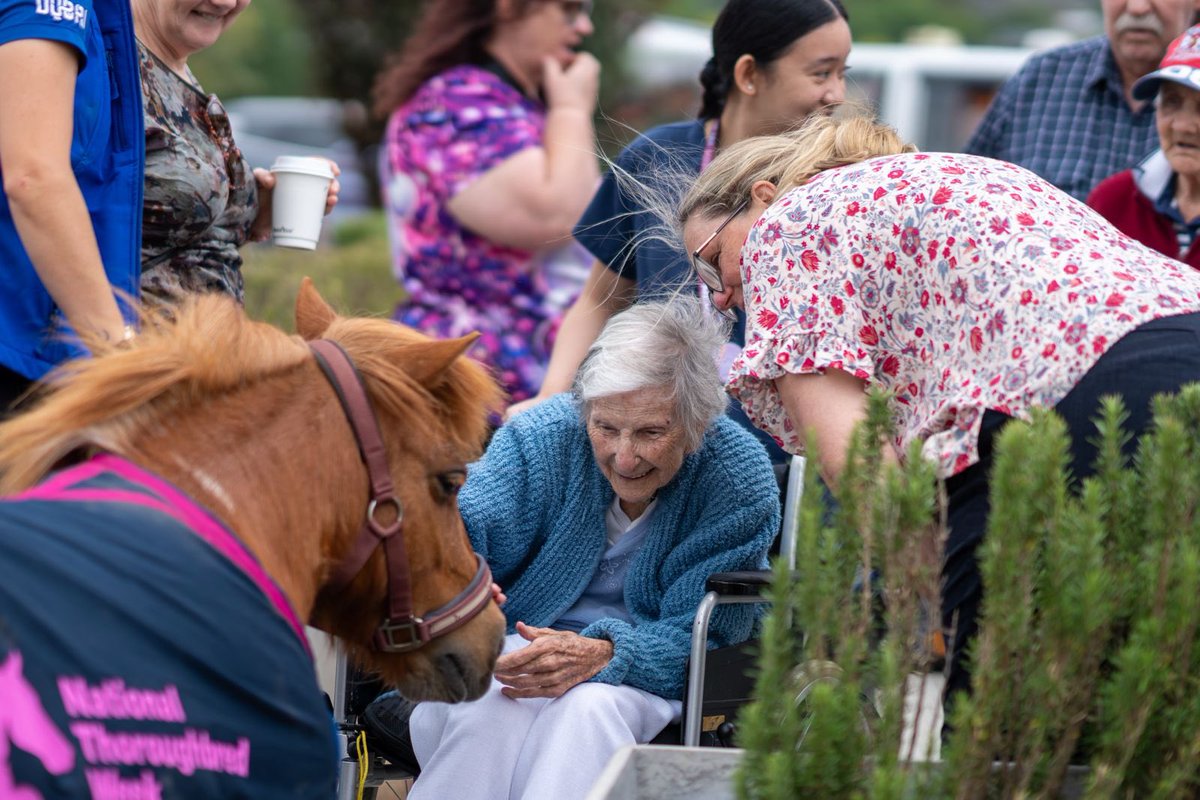 National Thoroughbred Week tweet media