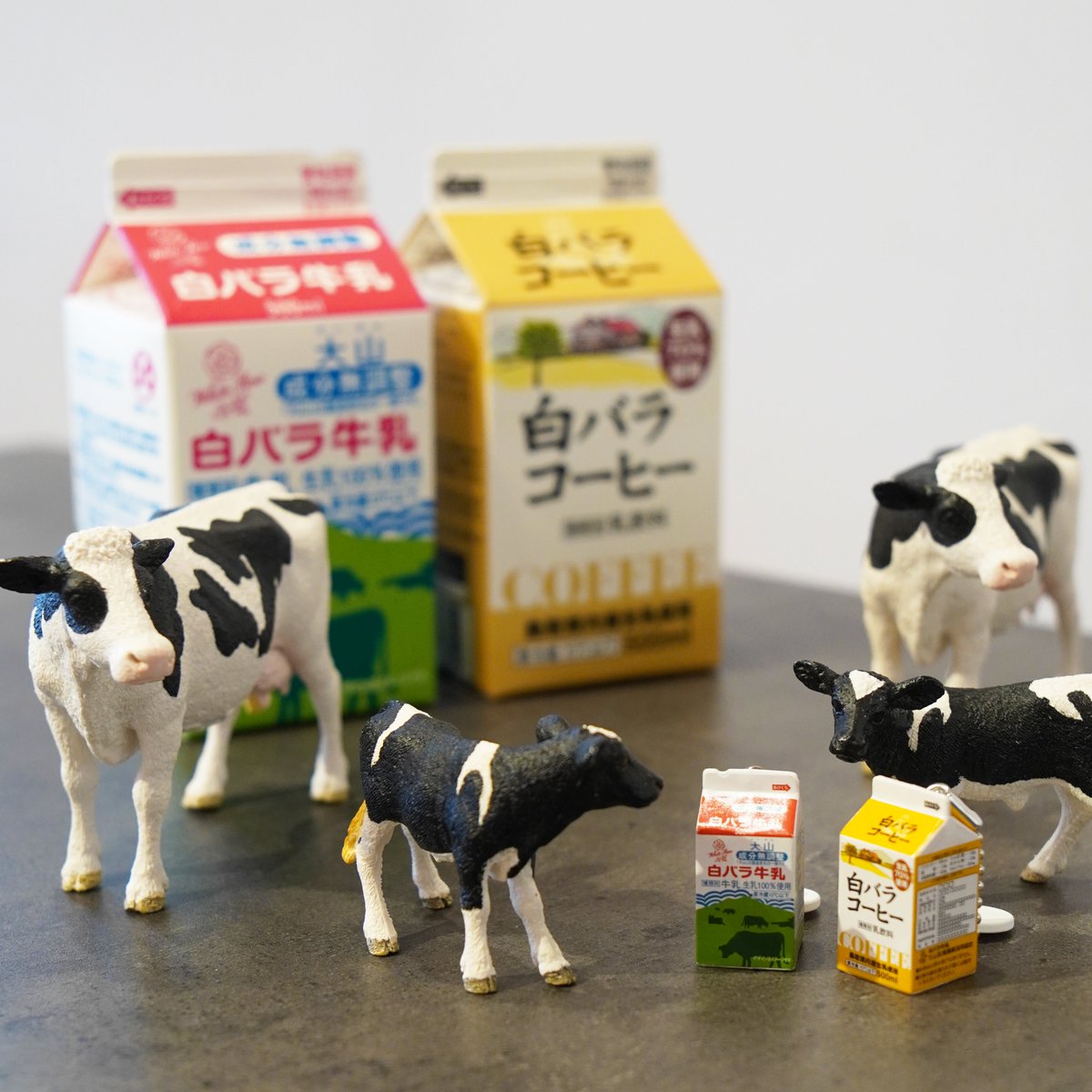 【箱無し】
POLA   BA クレンジングクリームN 130g×2本セット 大山乳業（白バラ牛乳）【公式】 (@daisen_nyugyo) / Posts / X