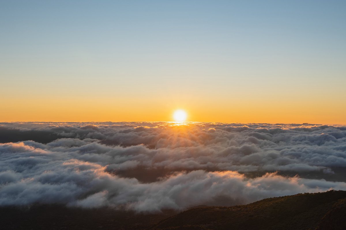 makoto (@makotosatojp) / Posts / X