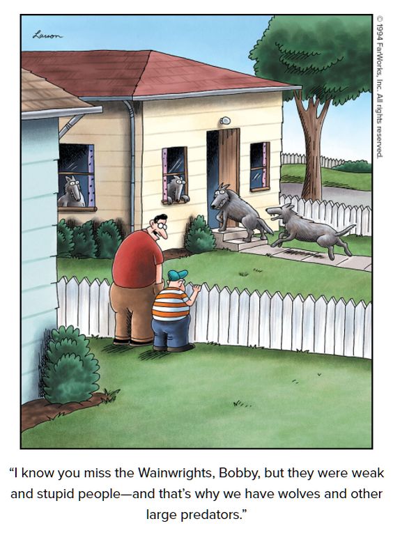 #TheFarSide