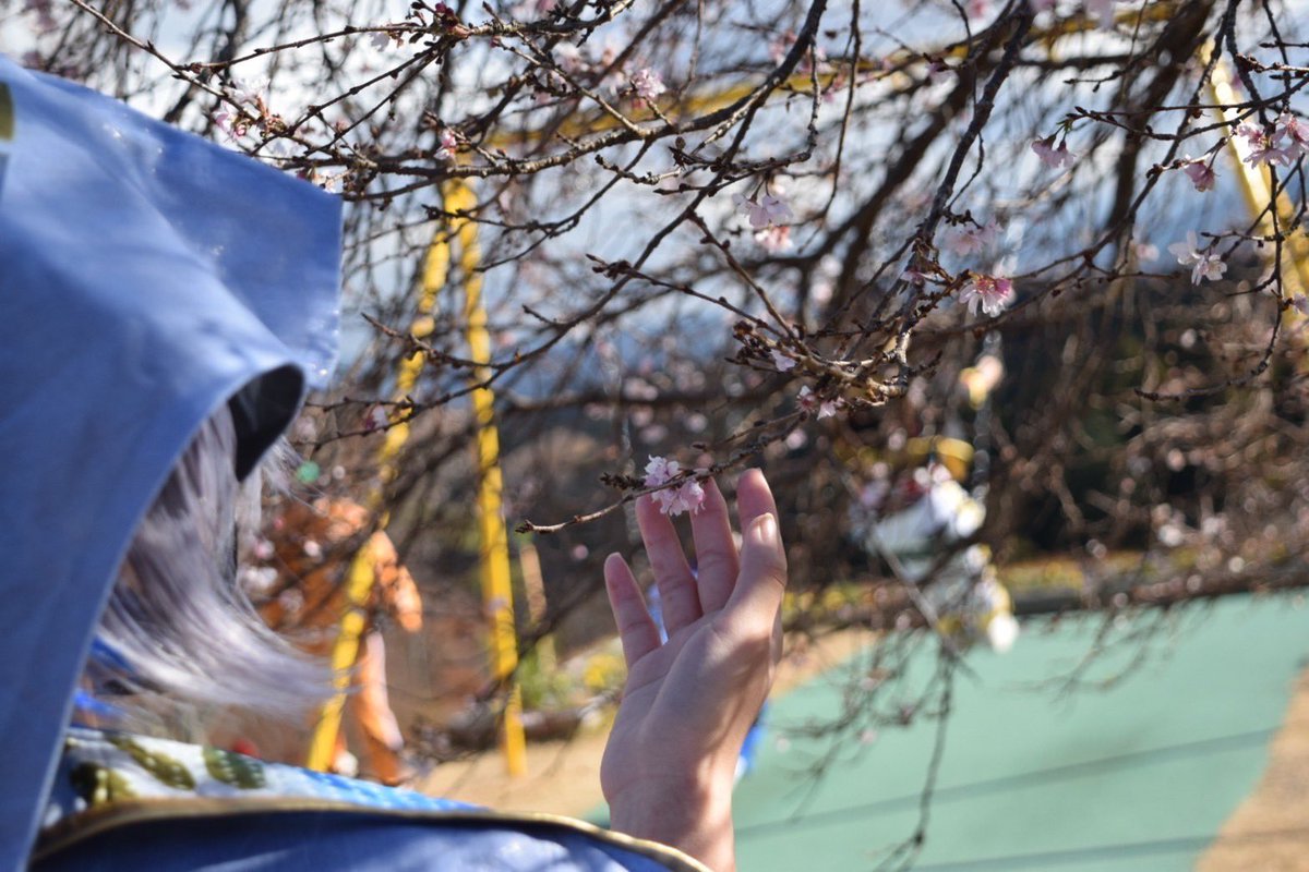 Hisui007_5's tweet photo. だいぶ前に撮ってくれたのが発掘されたので…（久々の投稿がこれ）
 #にじさんじ好きな人と繋がりたい  #レイヤーさんと繋がりたい https://t.co/ecuLKYejqJ