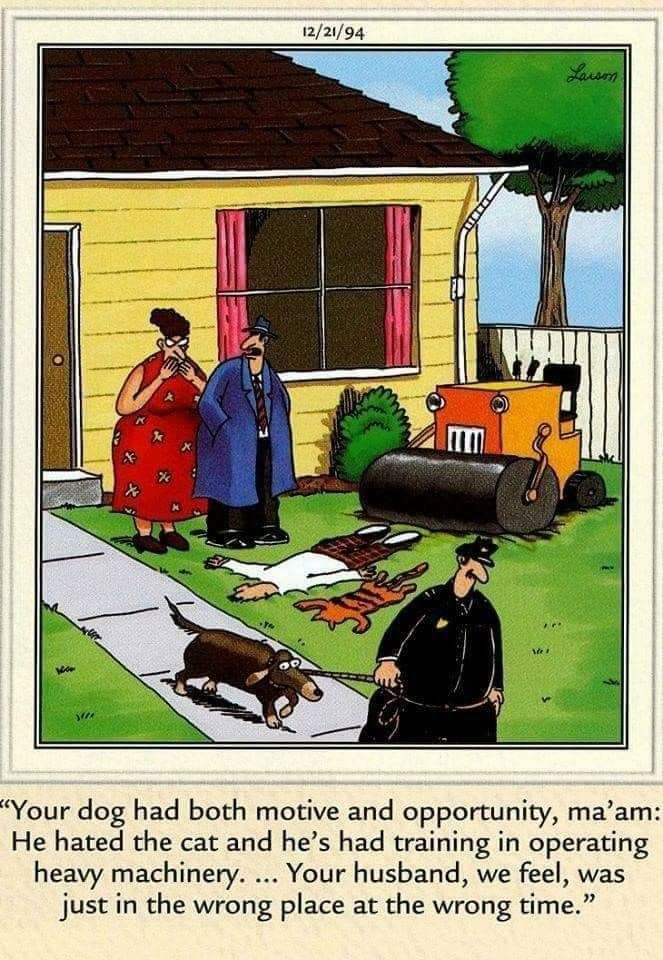 farsidefix's tweet photo. #TheFarSide https://t.co/r6Hr78gmt8