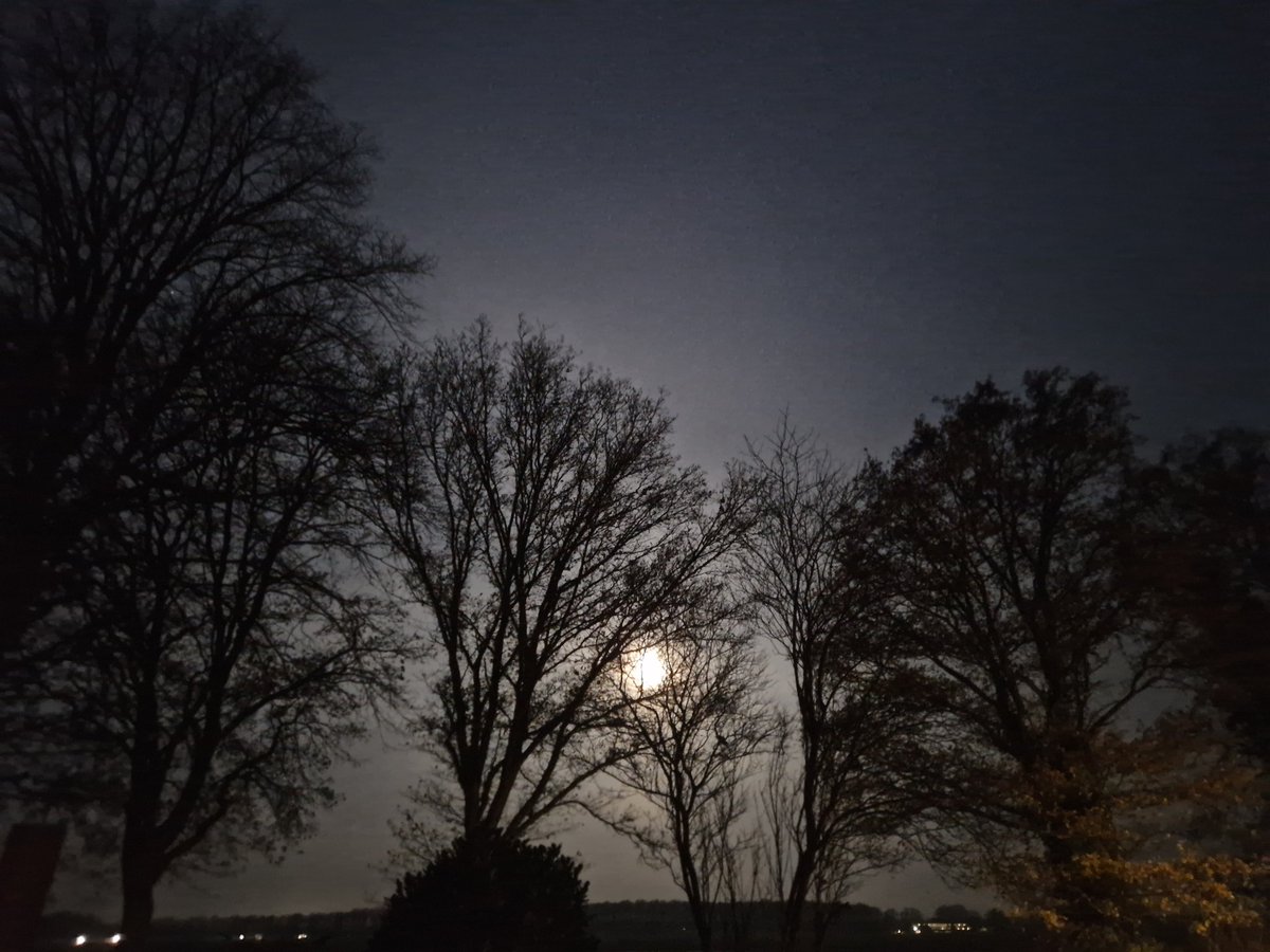 Zie de maan schijnt door de bomen ☺️ Goedemorgen 🙋‍♂️
