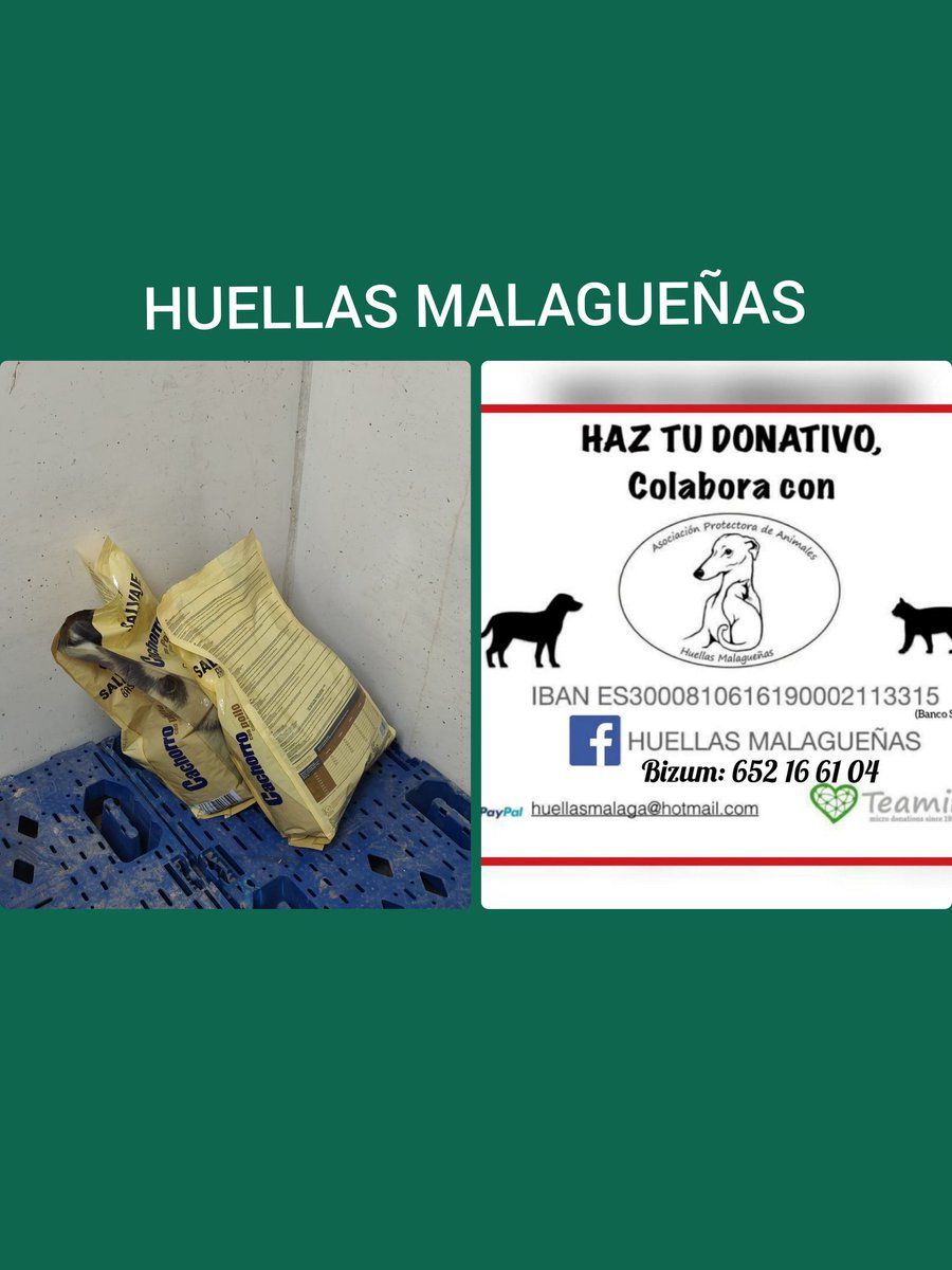 HUELLAS MALAGUEÑAS🐶🐺 tweet media