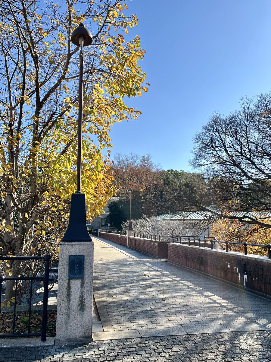 大江 フミト tweet media