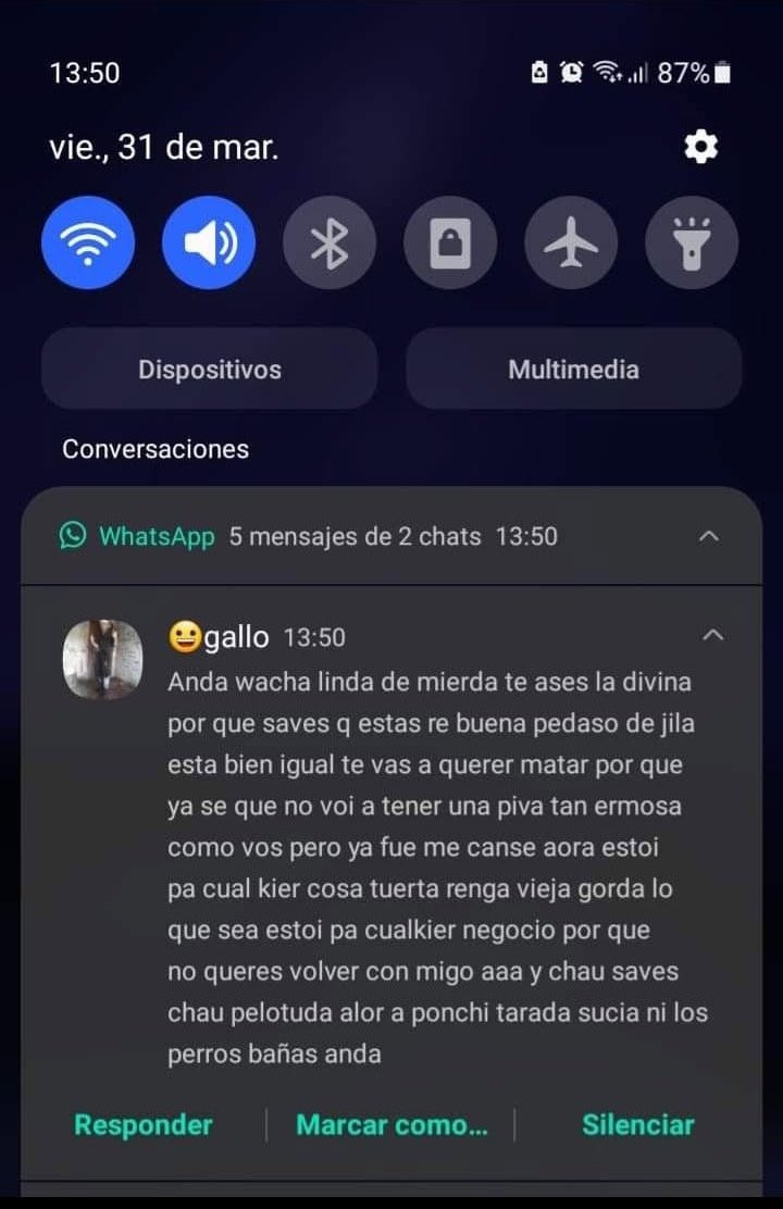 WSCHA LINDA D MIERDA