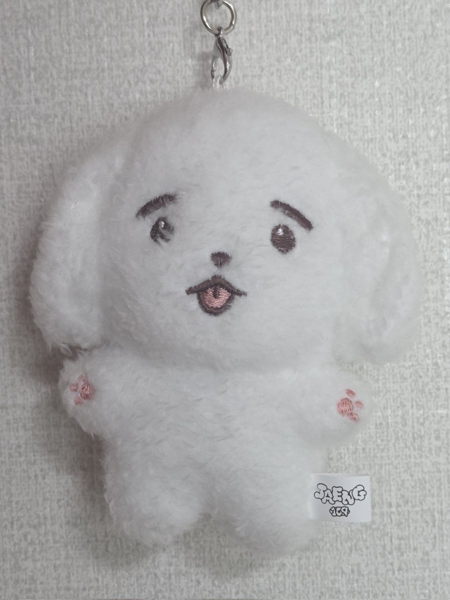 잊고 있을 때쯤 온 쟁백구✨️