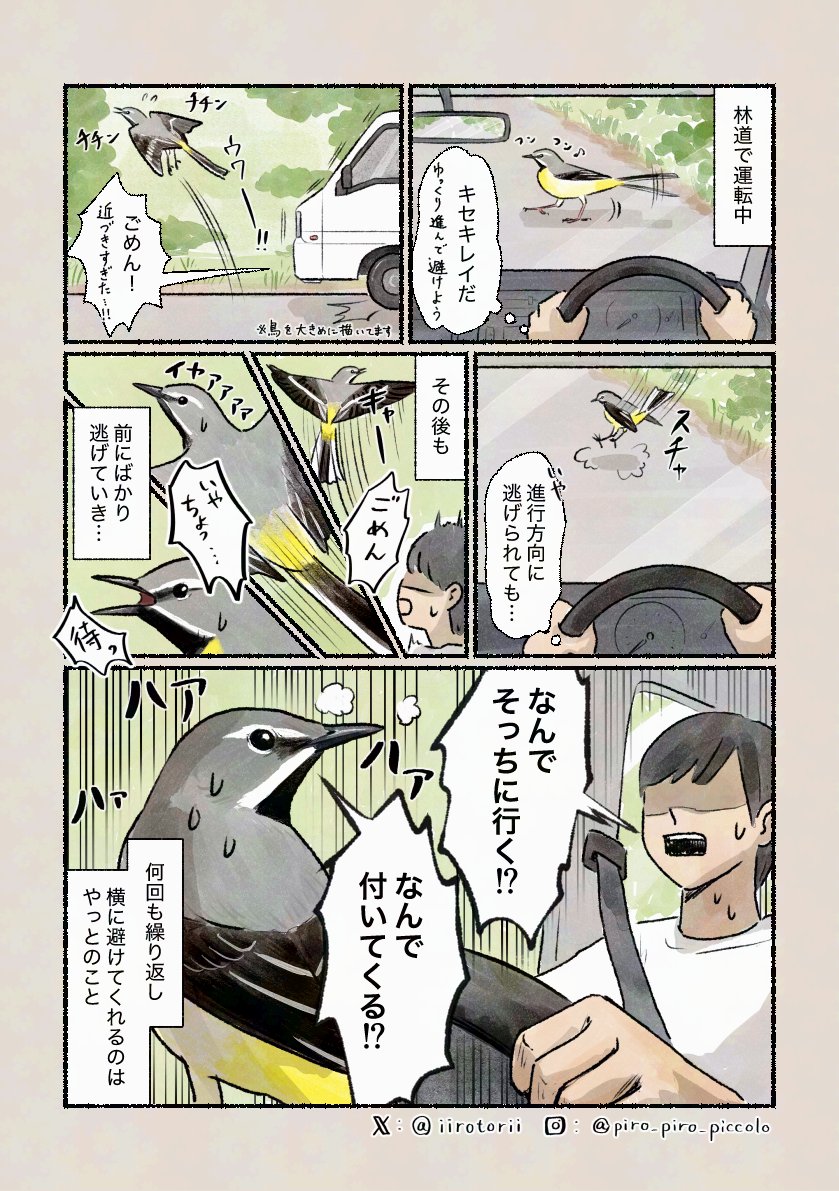 kaco (@_kaco) / Posts / X