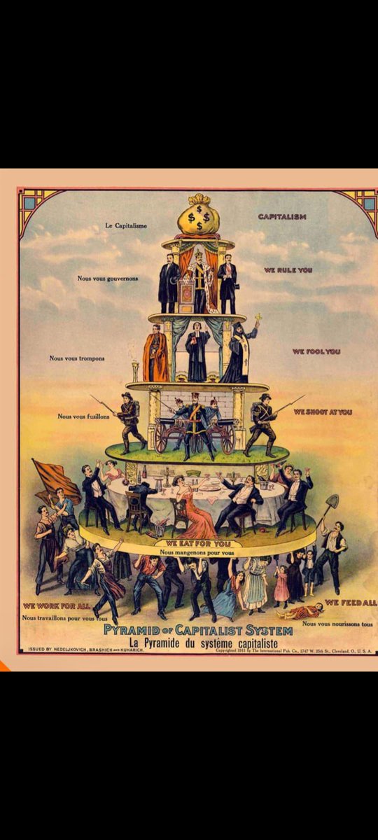 🎄 Tree’s Up🎄