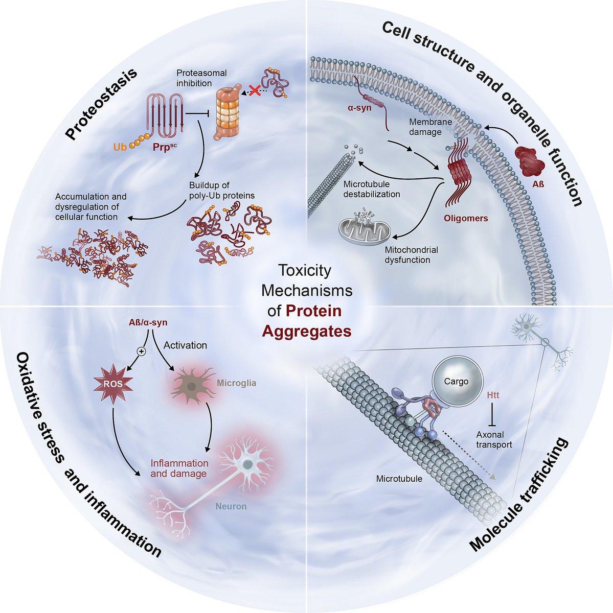 Maayan Harel 🟣 Visual storytelling for science tweet media