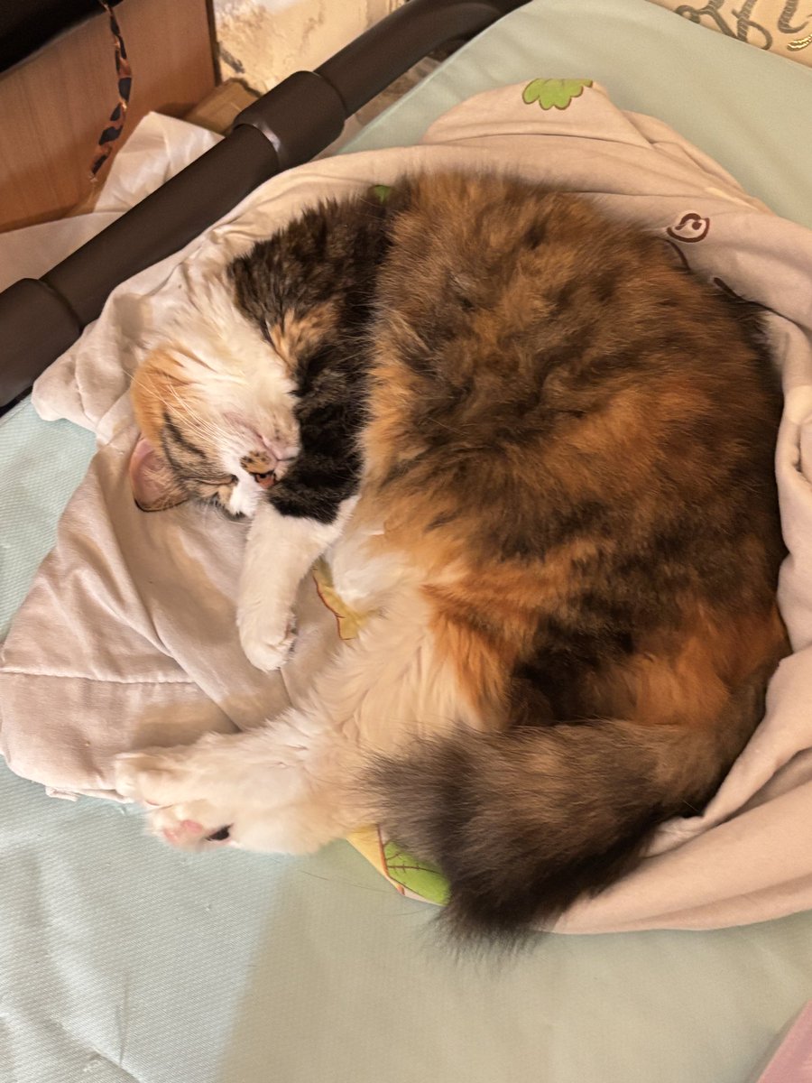 開喜最近有很多可愛照片但我懶得發抱歉😞