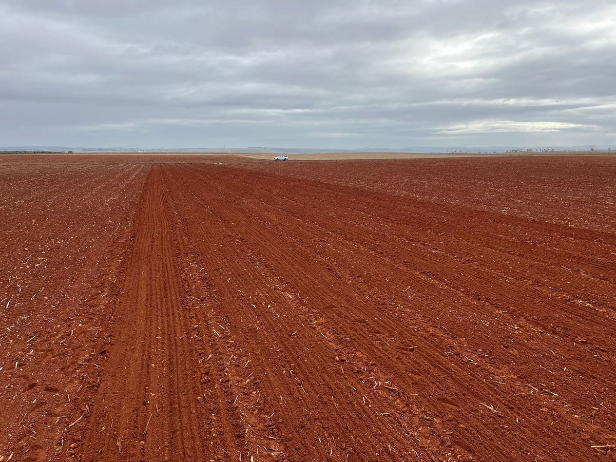 Los colores de la siembra otoñal en el altiplano ecijano. <a href="/CoesagroEcija/">Coesagro</a> <a href="/AgrovegetalSA/">Agrovegetal SA</a>