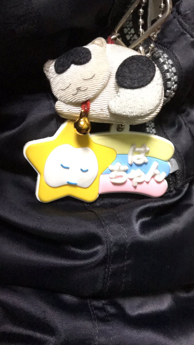 Adoさん考案のはちゃんと日光東照宮のお守り猫ちゃん、とても似ていて嬉しい🐈⭐️彡
