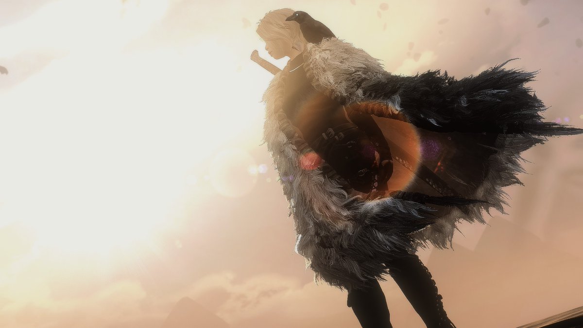 ShadowCaitly's tweet photo. #SkyrimSE https://t.co/zg41NdcDmT
