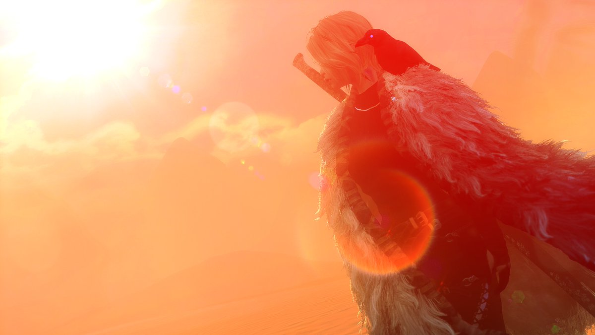 ShadowCaitly's tweet photo. #SkyrimSE https://t.co/zg41NdcDmT