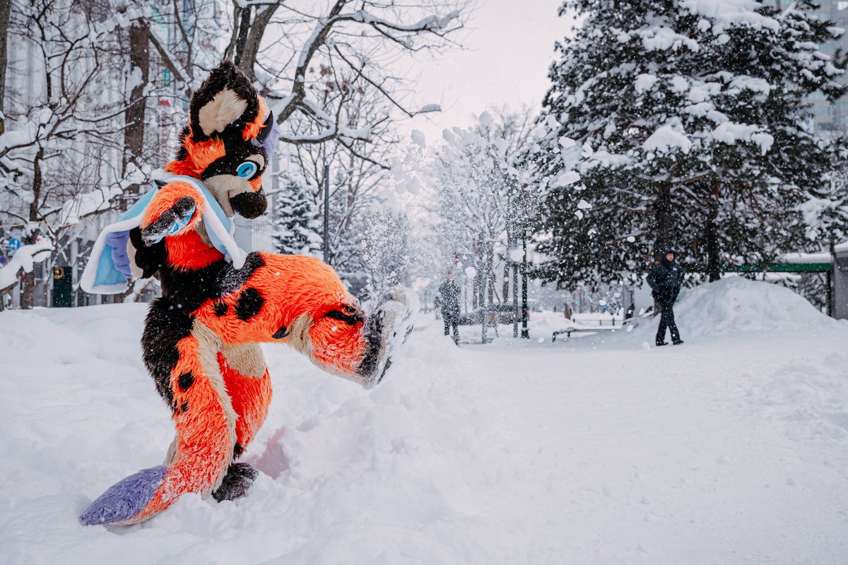 雪の中で遊ぶドラゴン！❄️❄️

#FursuitFriday