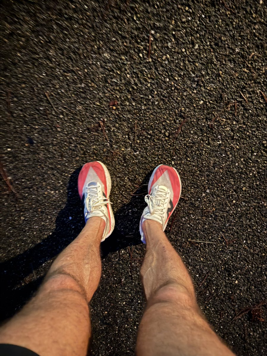 Jour 21 :
J'ai raté l'entraînement hier et je m'en veux terriblement 😭 Je sais que c'est juste une excuse, mais il a