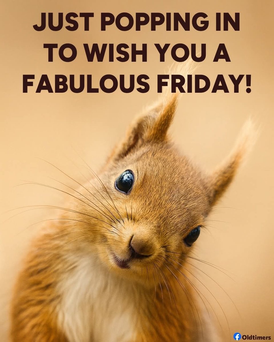 Good morning all 😁 happy friday and keep smiling ☕😎🌨️