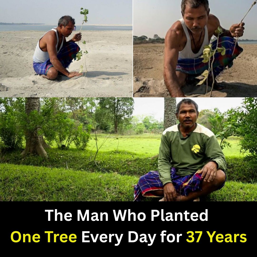 Prashant_Advait's tweet image. Meet the “Forest Man of India” 

Jadav Payeng, the man who turned a barren land into a 𝗳𝗼𝗿𝗲𝘀𝘁 𝗹𝗮𝗿𝗴𝗲𝗿 𝘁𝗵𝗮𝗻 𝟭𝟱 𝗳𝗼𝗼𝘁𝗯𝗮𝗹𝗹 𝘀𝘁𝗮𝗱𝗶𝘂𝗺𝘀, all by himself.

This story began in 1979, when 16-year-old Jadav saw 𝗱𝗼𝘇𝗲𝗻𝘀 𝗼𝗳 𝘀𝗻𝗮𝗸𝗲𝘀 𝗹𝘆𝗶𝗻𝗴…