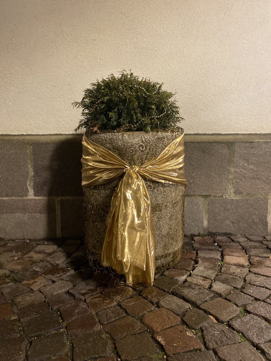 Sonia Zuccaro tweet media