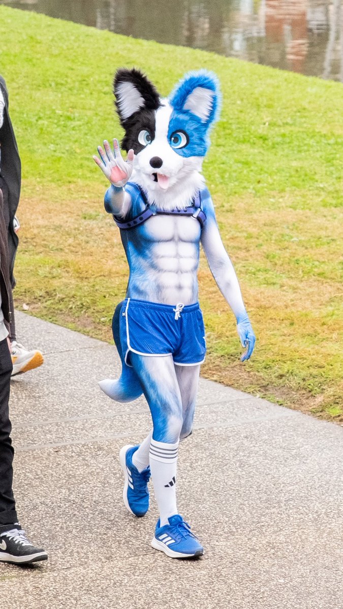 AeroBeforeDark's tweet image. 👋 

📸 @Blurbbub 

#Aurawra