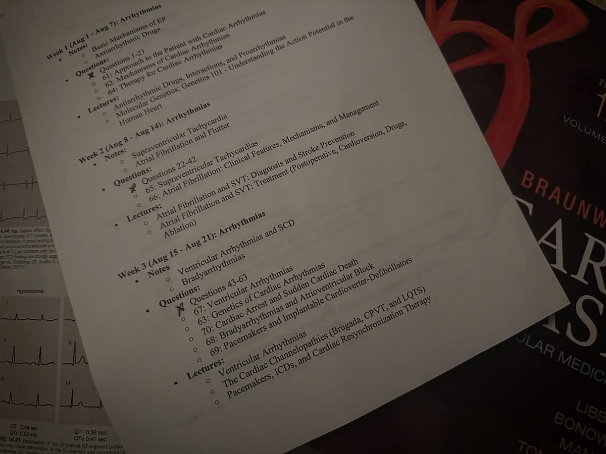 CardiBeatMD's tweet image. When ADHD &amp;amp; dyslexia are not excuses for failure, so I create 18-month structured schedules to study for boards. I later learned that this is called an individualized learning plan and is often used for students who are neurodivergent. Where were ILRs when I was in school?