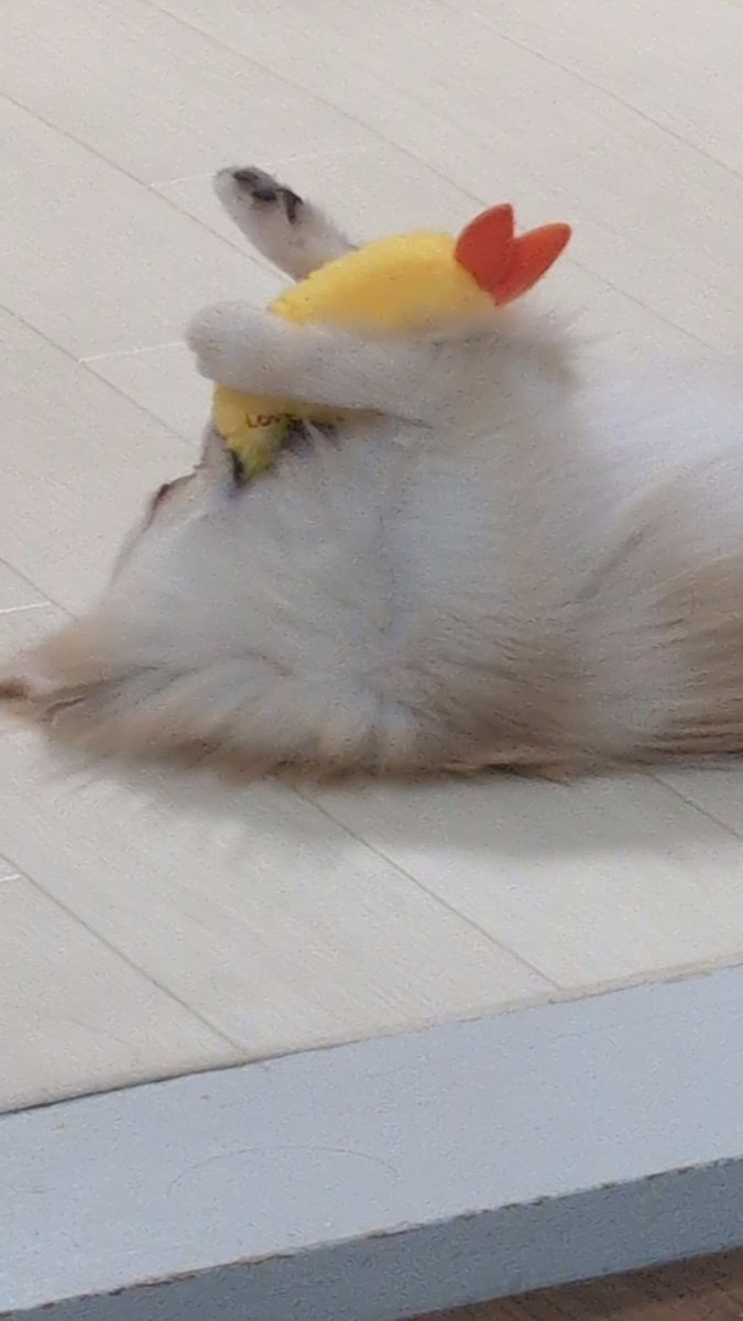 目が覚めてどこも痛くない！って素晴らしいですよね ここにふらつか