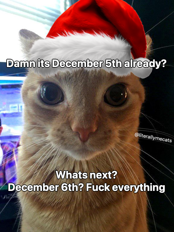 literallymecats's tweet photo. https://t.co/6QaXsnC98t