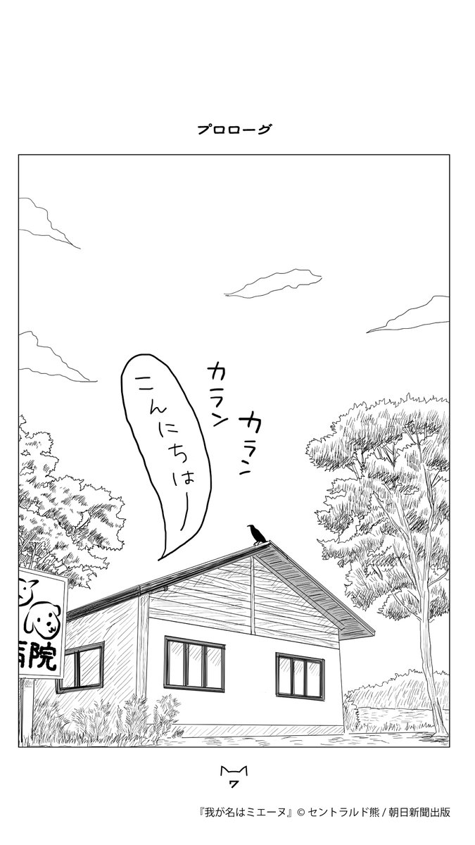 もぐ＠moG (@yellowxjade) / Posts / X