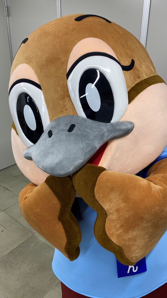 pepeco (@pepeco_pepepe) / Posts / X