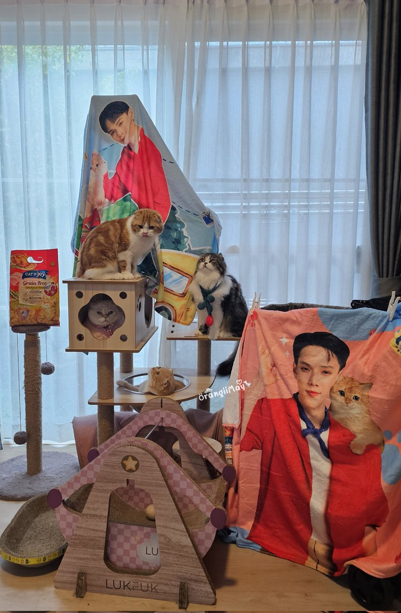 ˢᵒᵐˢᵒᵐ😽x🅳🅰🅾🆄🦖🅾🅵🅵🆁🅾🅰🅳🚘 tweet media