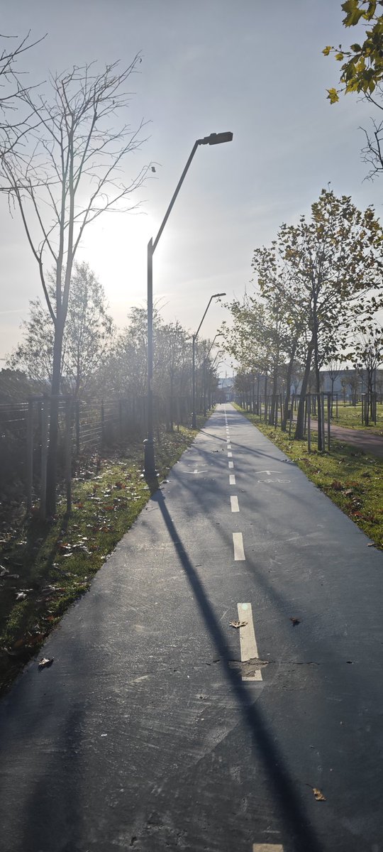 Gu nayyy dinnnnn radyocular gibi dedim di mi