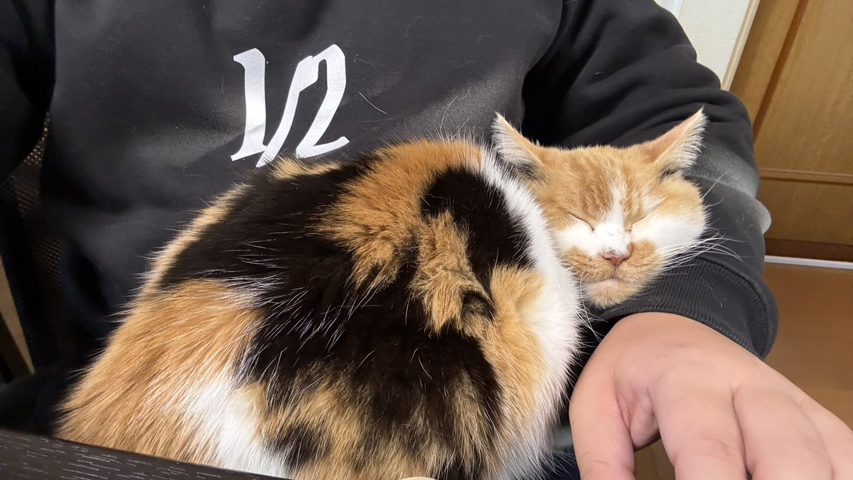 まりもさんへ
腕が疲れてきました。