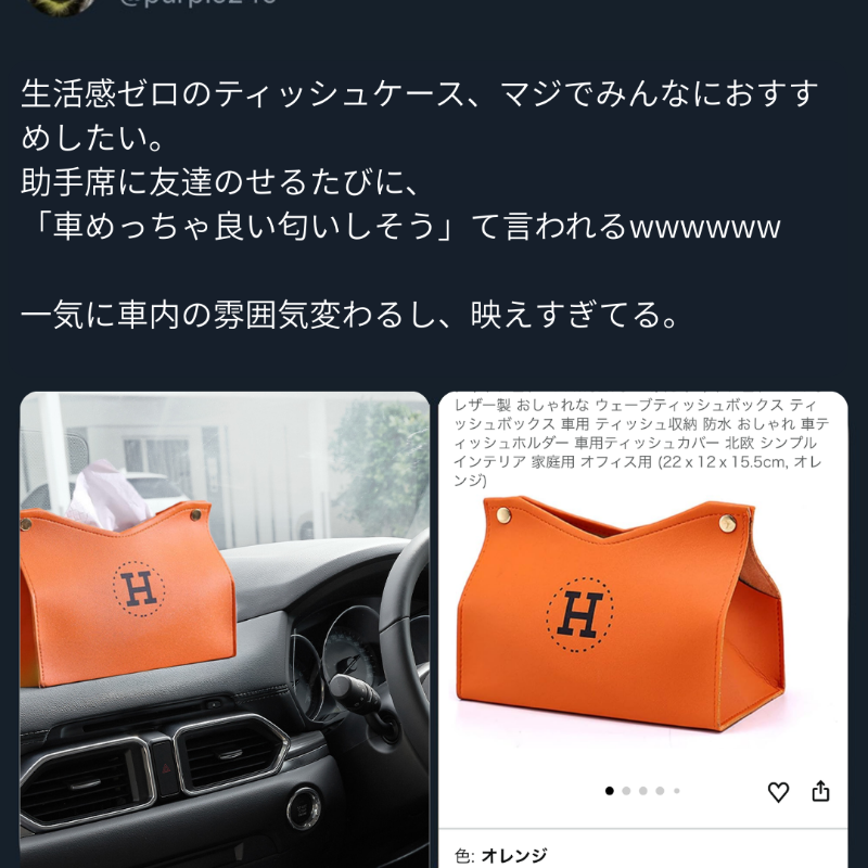 これ見て思わず買っちゃったwww(PR)