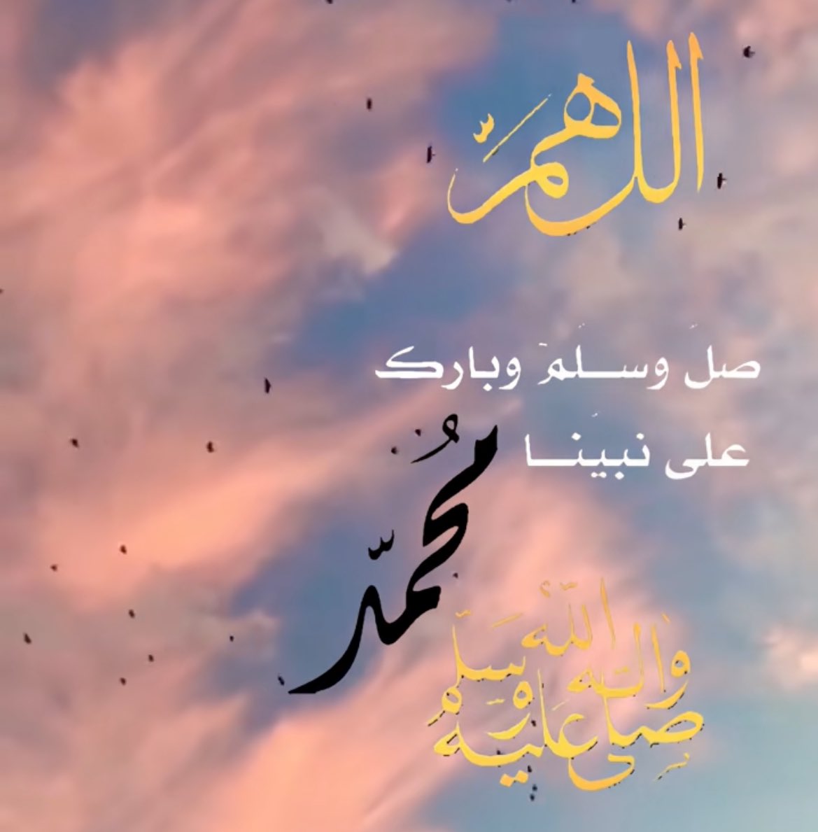 ___FATEN's tweet image. 