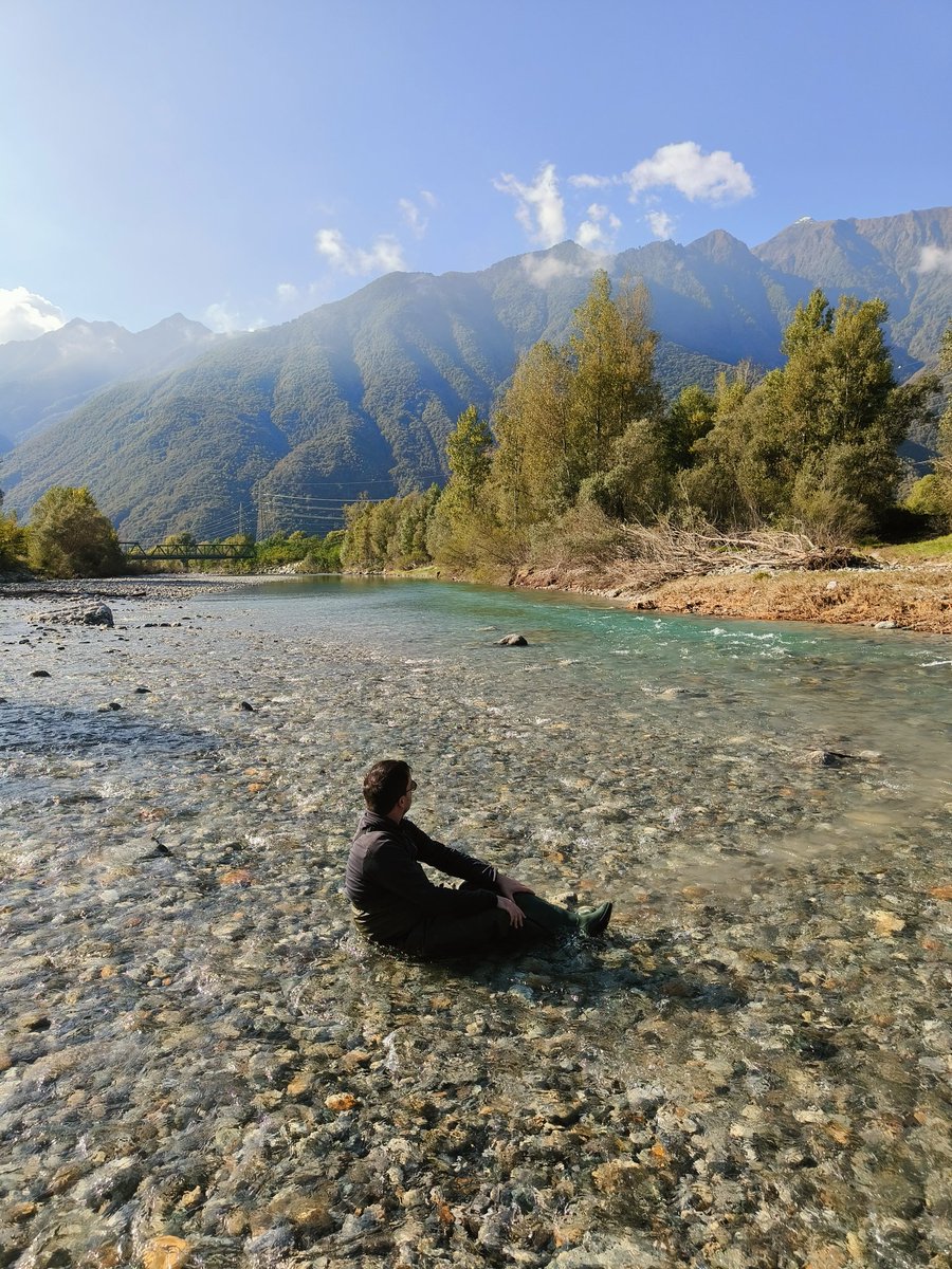 Queste le migliori, ogni tanto mi sono sentito quasi fregano pure io