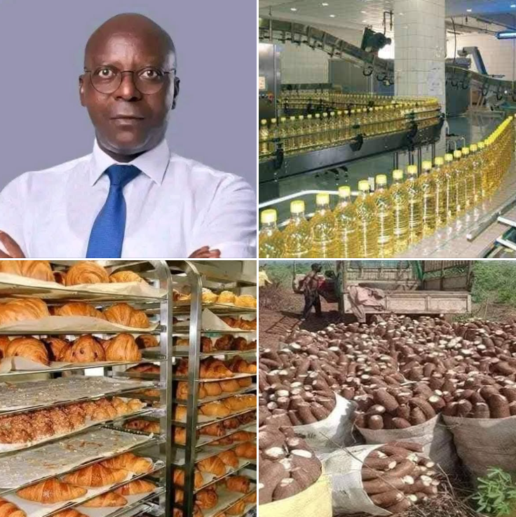 Bertin Tchoffo, Cameroonian entrepreneur and founder of Pafic Sarl, has transformed a passion for cassava into a business empire. Growing the crop on 1,300 hectares and processing 20 tons per day in his factory, he produces a variety of products, including cassava flour, garri,