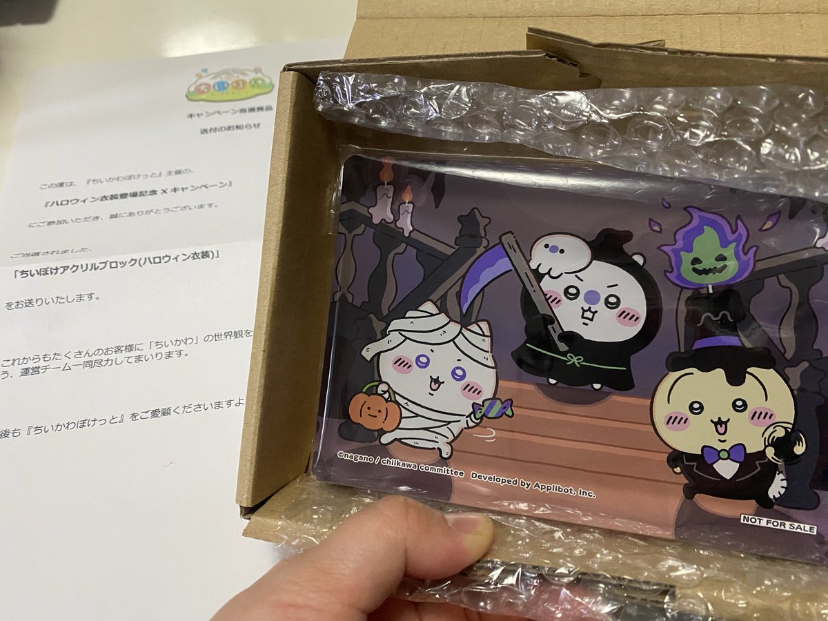 嬉しくすぎる！本当に当たってた！ アクリルブロック(ハロウィン衣装