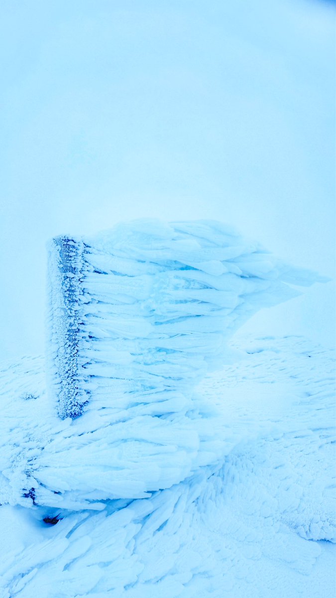 kaikuland's tweet photo. Cotos. 6:35h -1ºC. 
Se mantiene la nieve hasta la misma cumbre pero en zonas altas se convierte en plumas de hielo por efecto del viento muy fuerte. Visibilidad muy reducida y llegando al pico lluvia engelante, que es lluvia fina en zonas bajas transformando la nieve. Precaución https://t.co/jTkZYGMrOw