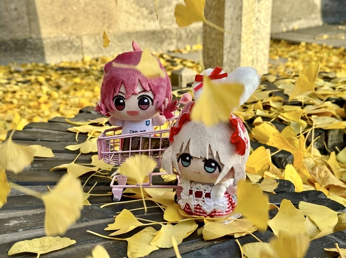 芹沢あさひと僕”🍃 #シャニマス写真部 #もちほわがいっぱい見れるタグ