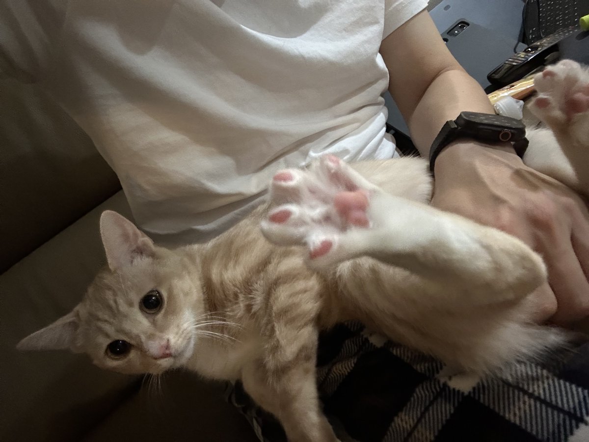 발가락 쫙. ㅋㅋ