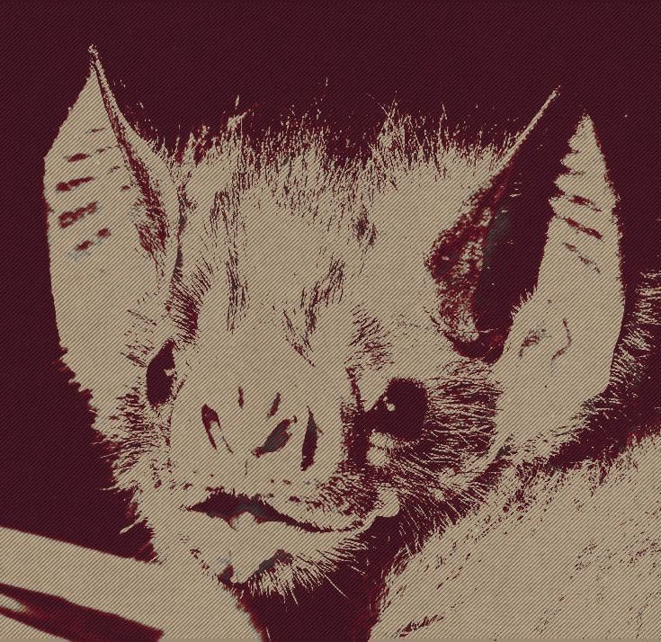 𝔖𝔦𝔩𝔢𝔫𝔠𝔢𝔣𝔬𝔯𝔪𝔶𝔰𝔬𝔲𝔩 (@funeralmind) on Twitter photo 