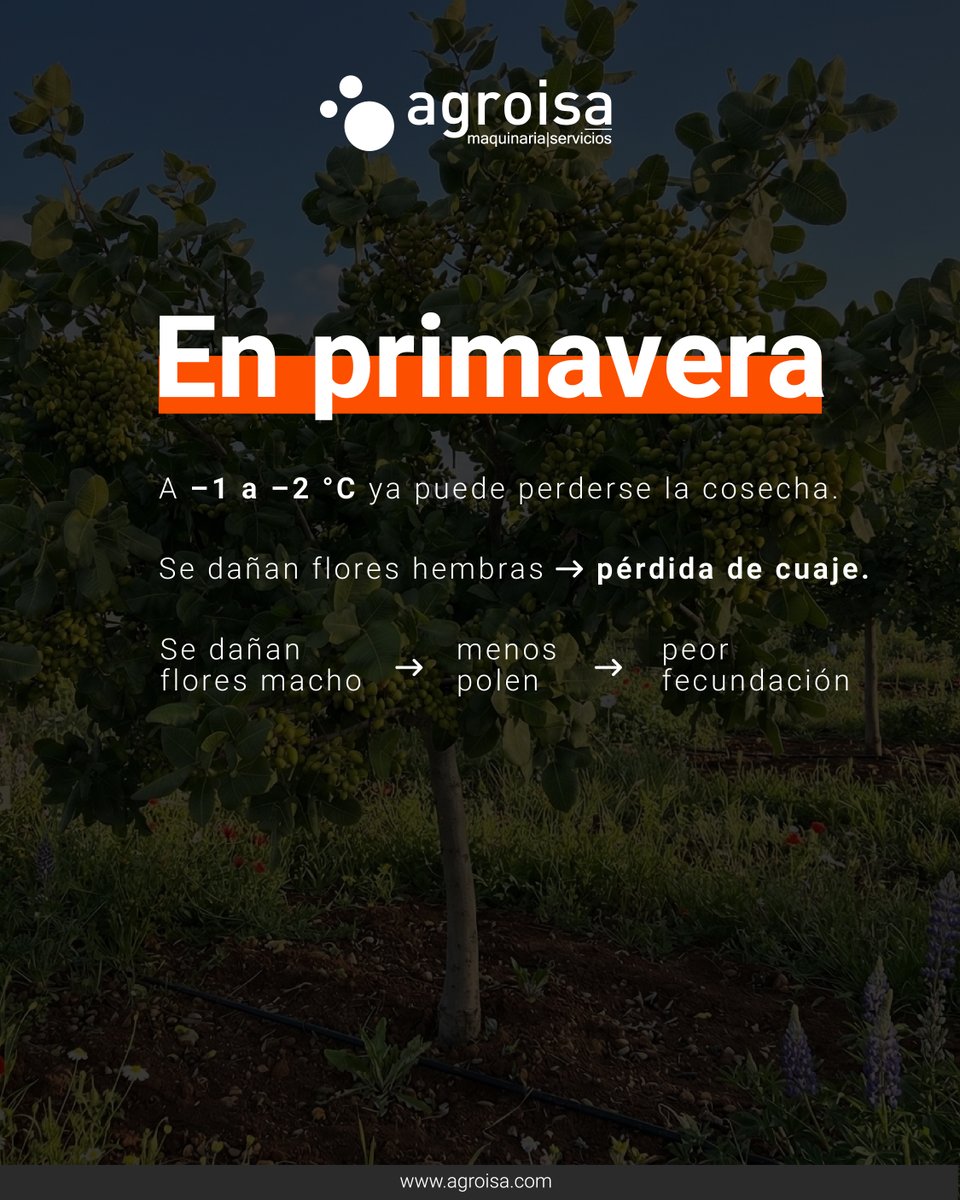 Agroisa SL | Maquinaria Oleícola tweet media