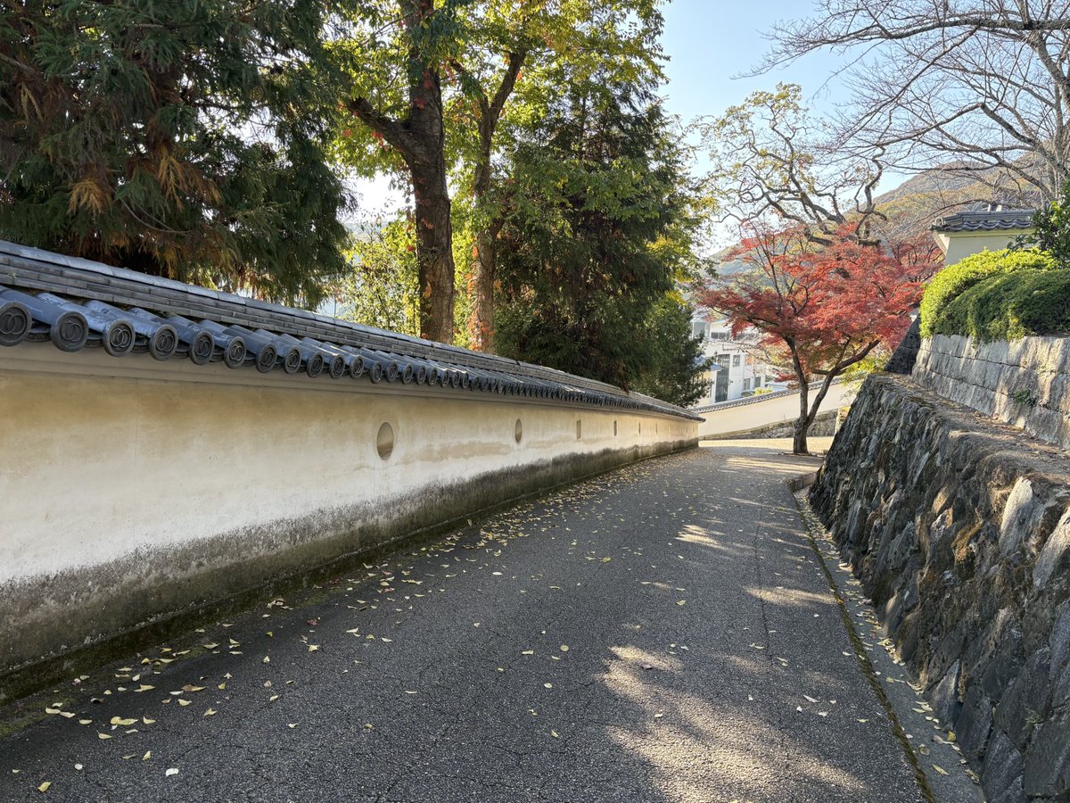 justonestep2025's tweet photo. @8ntmuch Tatsuno Castle’s quiet path —
autumn light guiding the way🍁
#Depth #CastleViews #BeautifulDestinations #VisitJapan https://t.co/BlzMFtUXrv
