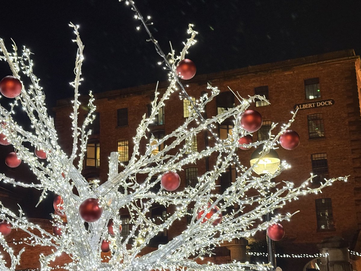 Pegasus10000069's tweet image. OMG! What an evening! What a very special night! Last #Mortality show at this incredibly beautiful arena in Liverpool, with lovely Christmas 🎄 lights everywhere on the Albert Dock. Maybe the very very very best super star comedian of all time 🤔 I’m amazed, and it’s my favorite