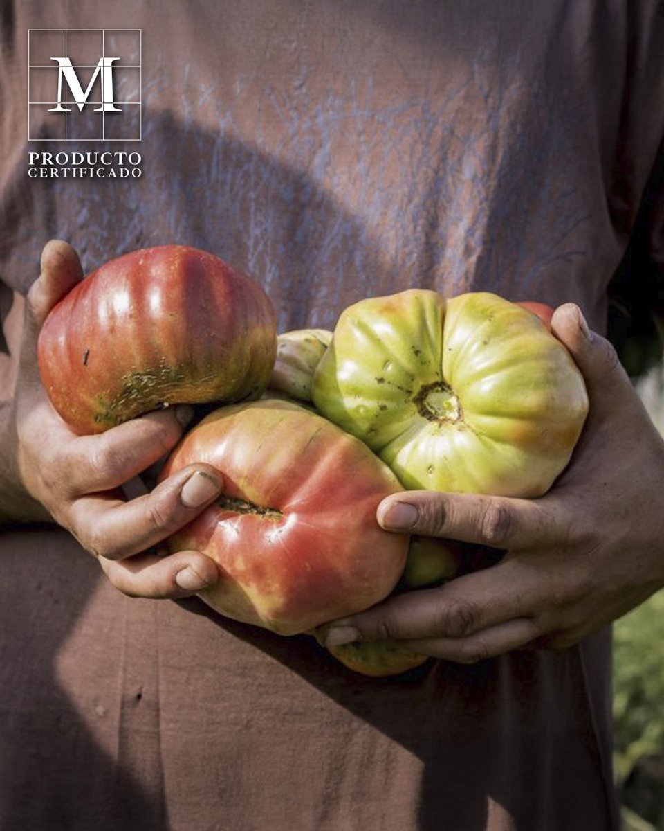 MadridCalidad's tweet photo. 🌱 Recorre Madrid de una forma diferente, a través de su producción ecológica 🌾
Súmate a una ruta única que recorre #huertas urbanas en Rivas, #queserías ecológicas en la Sierra, #almazaras en Arganda y #viñedos sostenibles con D.O. @VinosdeMadridDO
Más de 12.000 hectáreas de #cultivos ecológicos y 600 productores te esperan para descubrir el futuro de la alimentación local
Cada parada te acerca a proyectos que combinan salud, calidad y sostenibilidad ¿Te apuntas a la ruta eco de Madrid? 🌾🍅🧀
https://t.co/Y5YEasEQ0f
Descubre los productos ecológicos de nuestra región
https://t.co/VO2QxlFnu4
#RutaEcológica
#AlimentosDeMadrid
#AgroturismoMadrid
#Sostenibilidad
#Calidad
#Sabor
#Km0