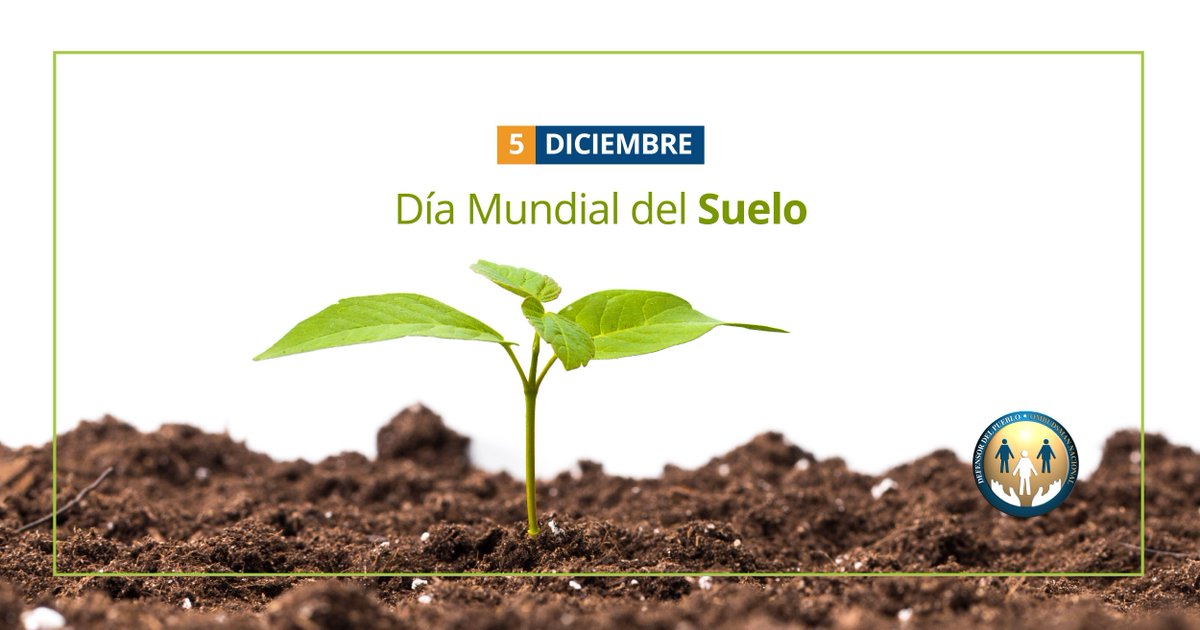 DPNArgentina's tweet image. 🌿 Día Mundial del #Suelo 
Una jornada que busca visibilizar la importancia del suelo sano y promover su gestión sostenible. 
El lema del Día Mundial del Suelo en 2025 es "Suelos Saludables para Ciudades Saludables".