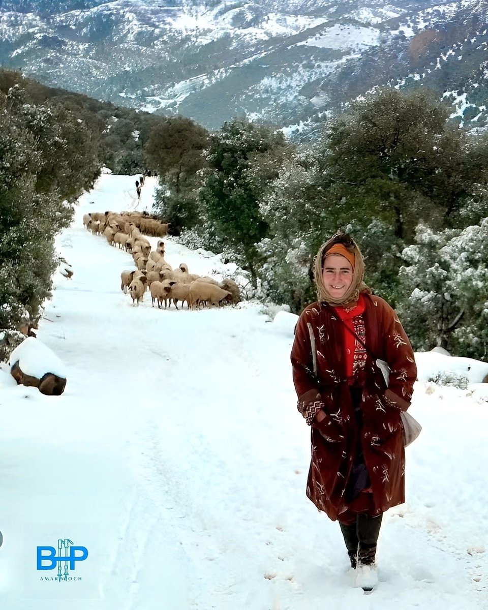 AmazighWNews's tweet photo. Photo of the Day: A woman shepherd walks through the snow-covered slopes of Mountains of Bou Iblane (3,062 m / 10,046 ft), guiding her flock through the Atlas Mountains of Morocco
📷 Amarmoch https://t.co/gbCtxr0BWC