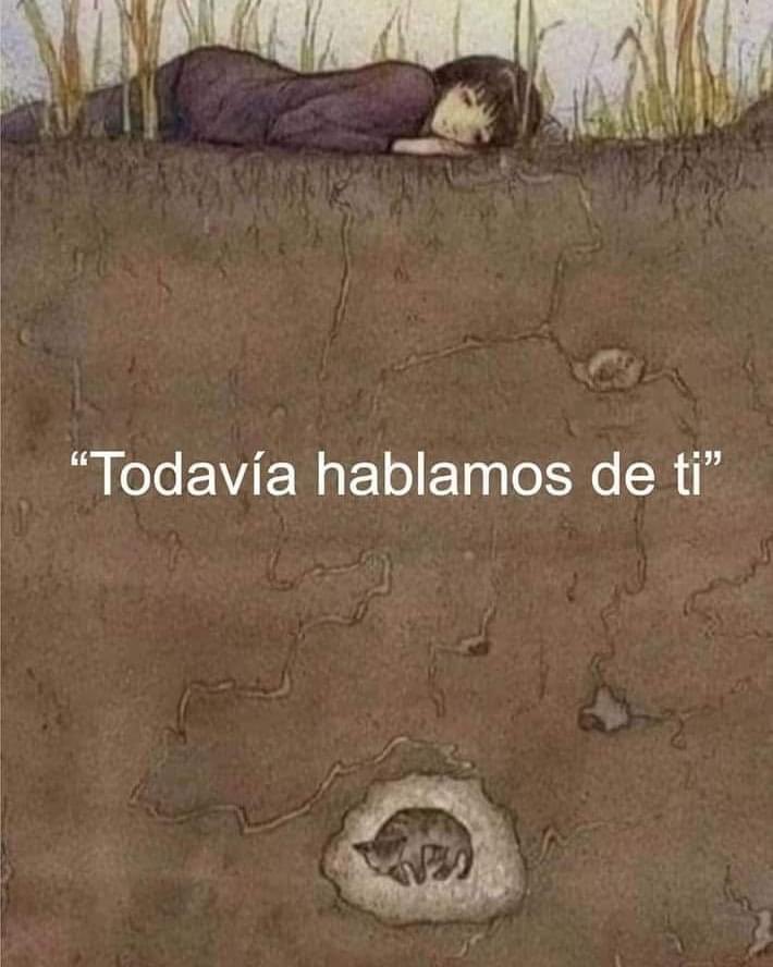 Gracias por tanto✨